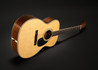 Martin OM Mikael Akerfeldt Signature Acoustic Guitar - 10OMMIKAELAKERFELDT_GLAM 9_compressed.jpg
