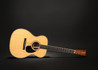 Martin OM Mikael Akerfeldt Signature Acoustic Guitar - 10OMMIKAELAKERFELDT_GLAM 17_compressed.jpg