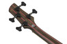 Ibanez Premium SR1420B Bass Guitar in Caribbean Green Low Gloss - SR1420B-CGL-SR1420B_CGL_1P_01_K.jpg