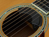 Fishman Fluence Acoustic Rock Icon Pickup - Fluence_Acoustic_soundhole_OM1_37855.jpg