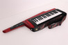Second Hand Korg RK-100S 2 RD 366 - SH-204-1366 (3).jpg