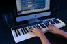 IK Multimedia iRig Keys 49 Key MIDI Keyboard & Controller With Mic Input - 155413-tmp5779.jpg