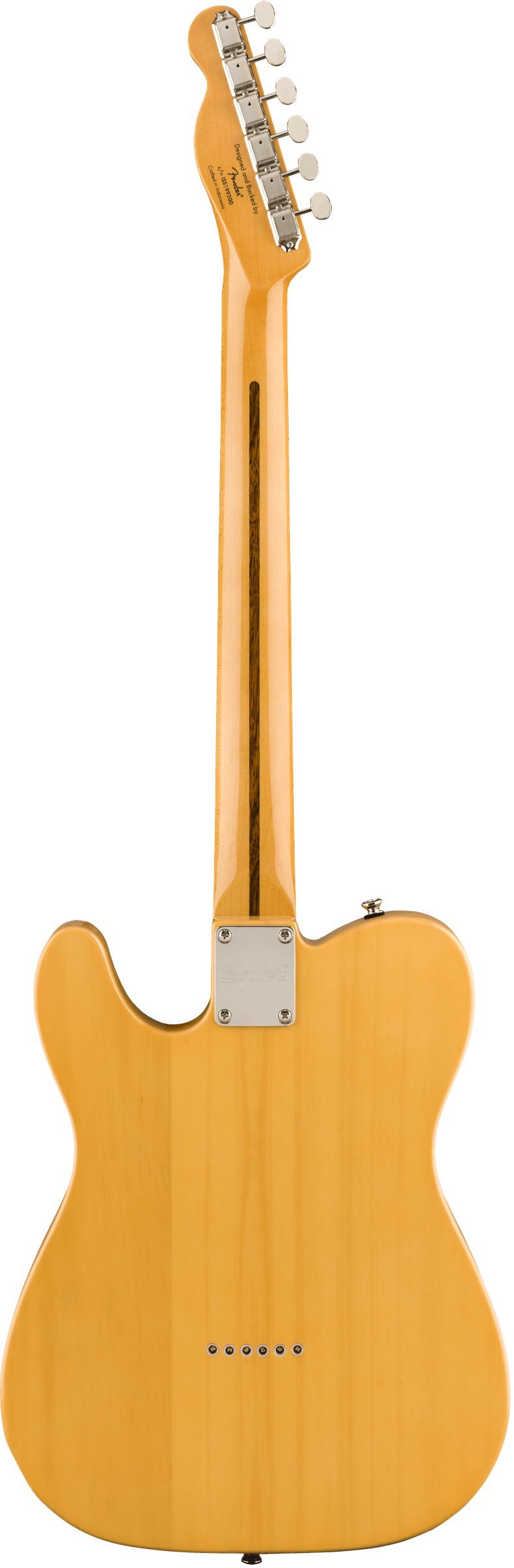 Squier Classic Vibe 50s Telecaster in Butterscotch Blonde - 343490-0374030550_gtr_back_001_rl.jpg