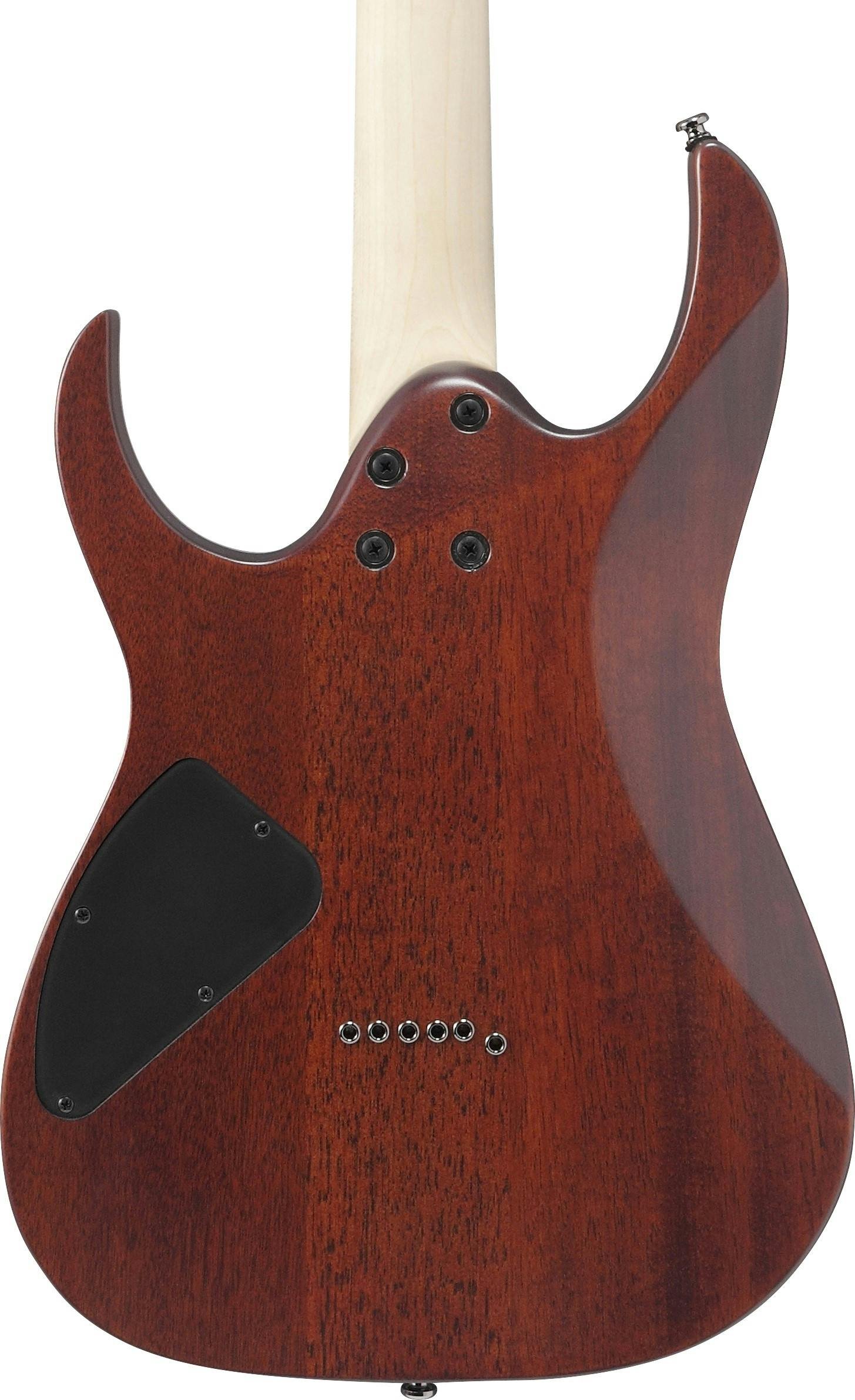 Ibanez RG421S-SEM Electric Guitar in Sea Shore Matte - RG421S-SEM-Ibanez-RG421S-SEM-Electric-Guitar-in-Sea-Shore-Matte-Back-Body.jpg
