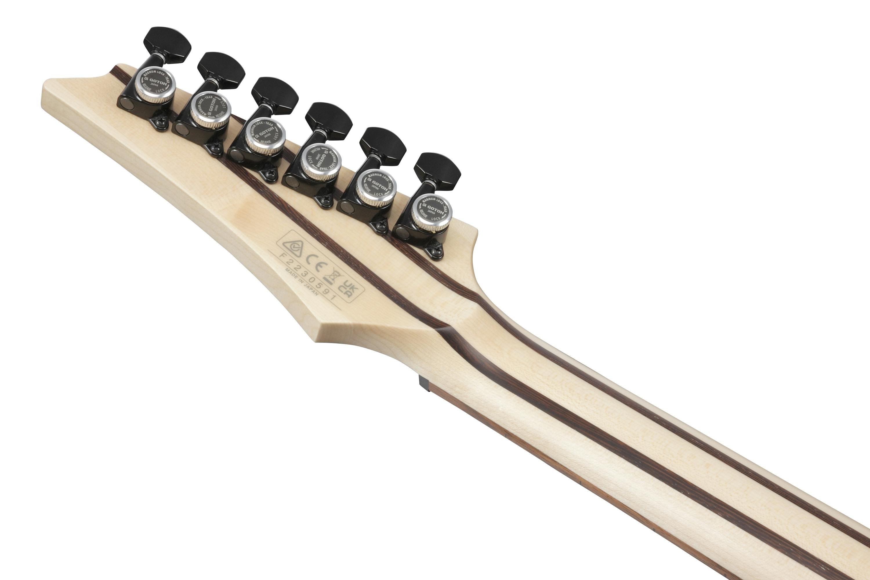 Ibanez RGD3121-PRF Prestige Electric Guitar in Polar Lights Flat - RGD3121-PRF-Ibanez-RGD3121-PRF-Prestige-Electric-Guitar-Polar-Lights-Flat-Headstock-Back.jpg