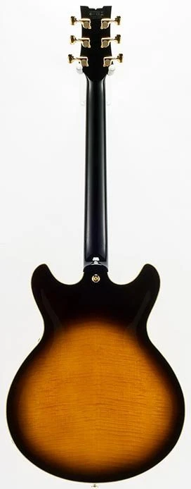 Ibanez JSM100 John Scofield Guitar in Vintage Sunburst - JSM100VT (3).jpg