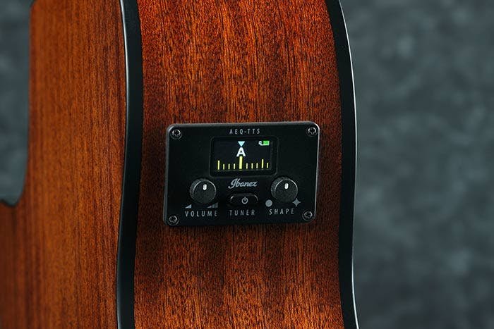 Ibanez AEG50 Acoustic Guitar in Black Aurora Burst Matte - AEG50-BAM-feat_AEQ-TTS_preamp.jpg