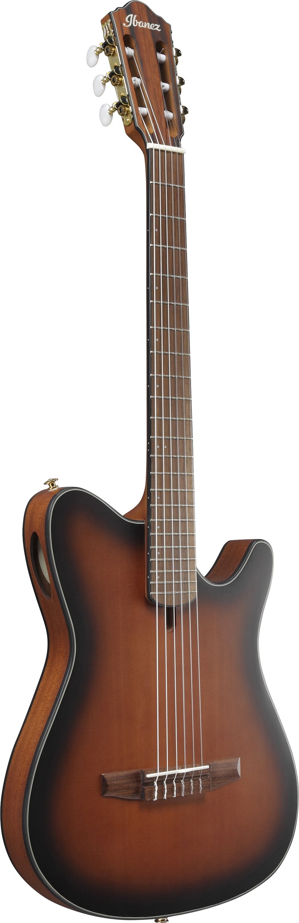 Ibanez FRH10N-BSF Nylon-String Electro Acoustic Guitar in Brown