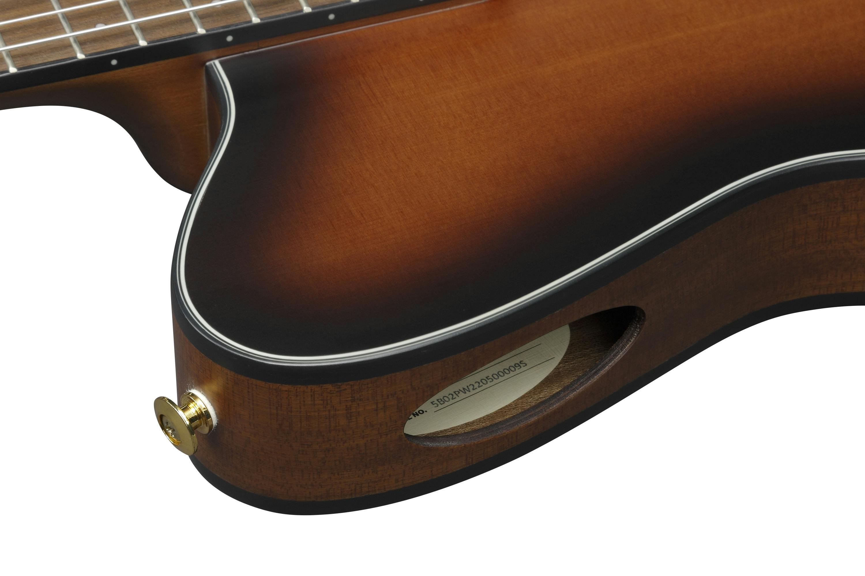 Ibanez FRH10N-BSF Nylon-String Electro Acoustic Guitar in Brown