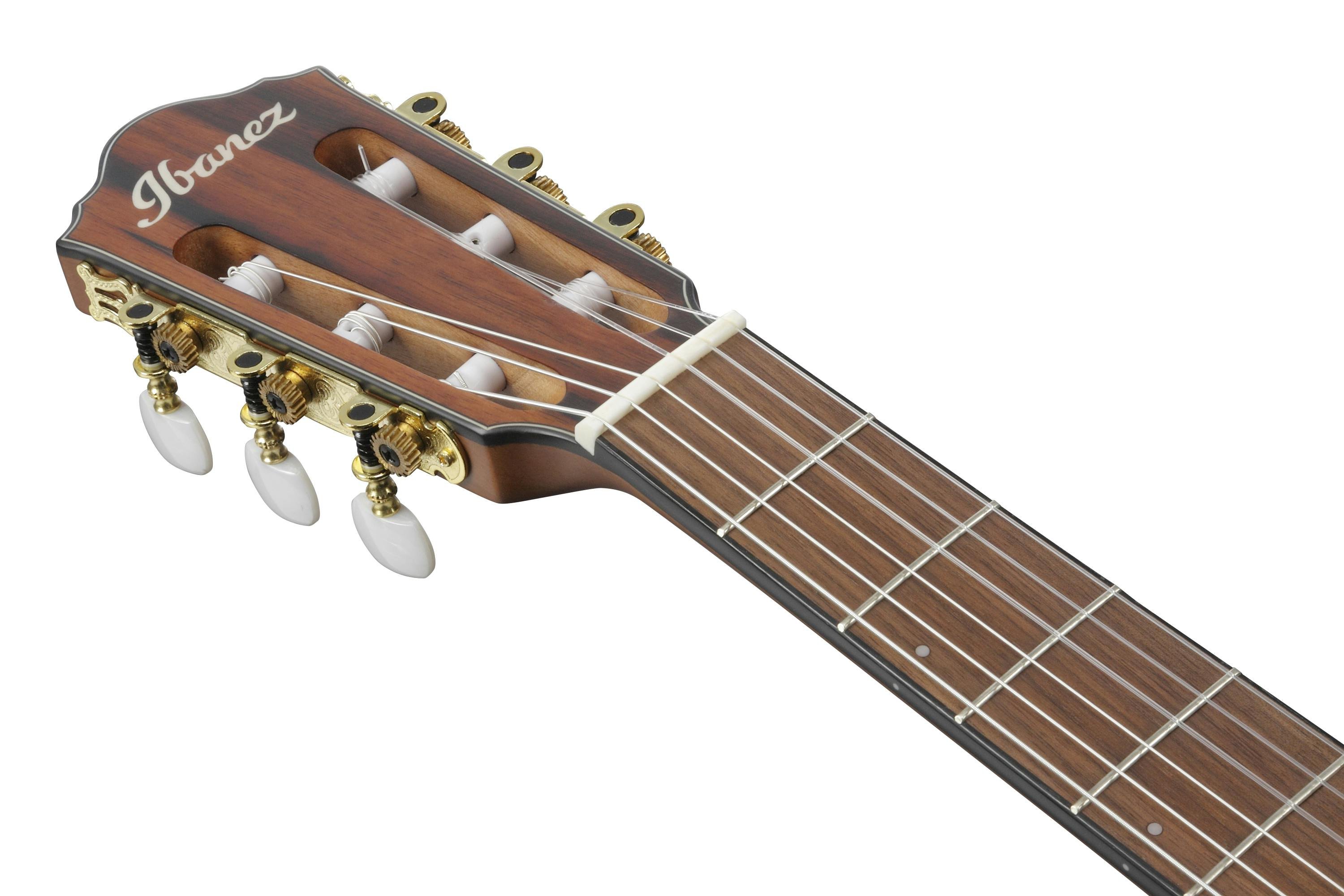 Ibanez FRH10N-BSF Nylon-String Electro Acoustic Guitar in Brown