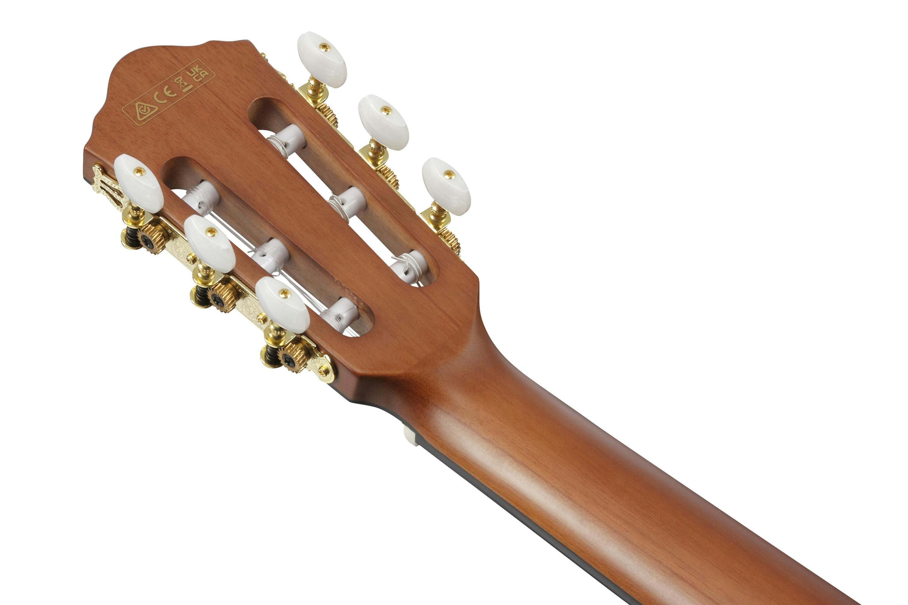 Ibanez FRH10N-BSF Nylon-String Electro Acoustic Guitar in Brown Sunburst Flat - FRH10N-BSF-8.jpg