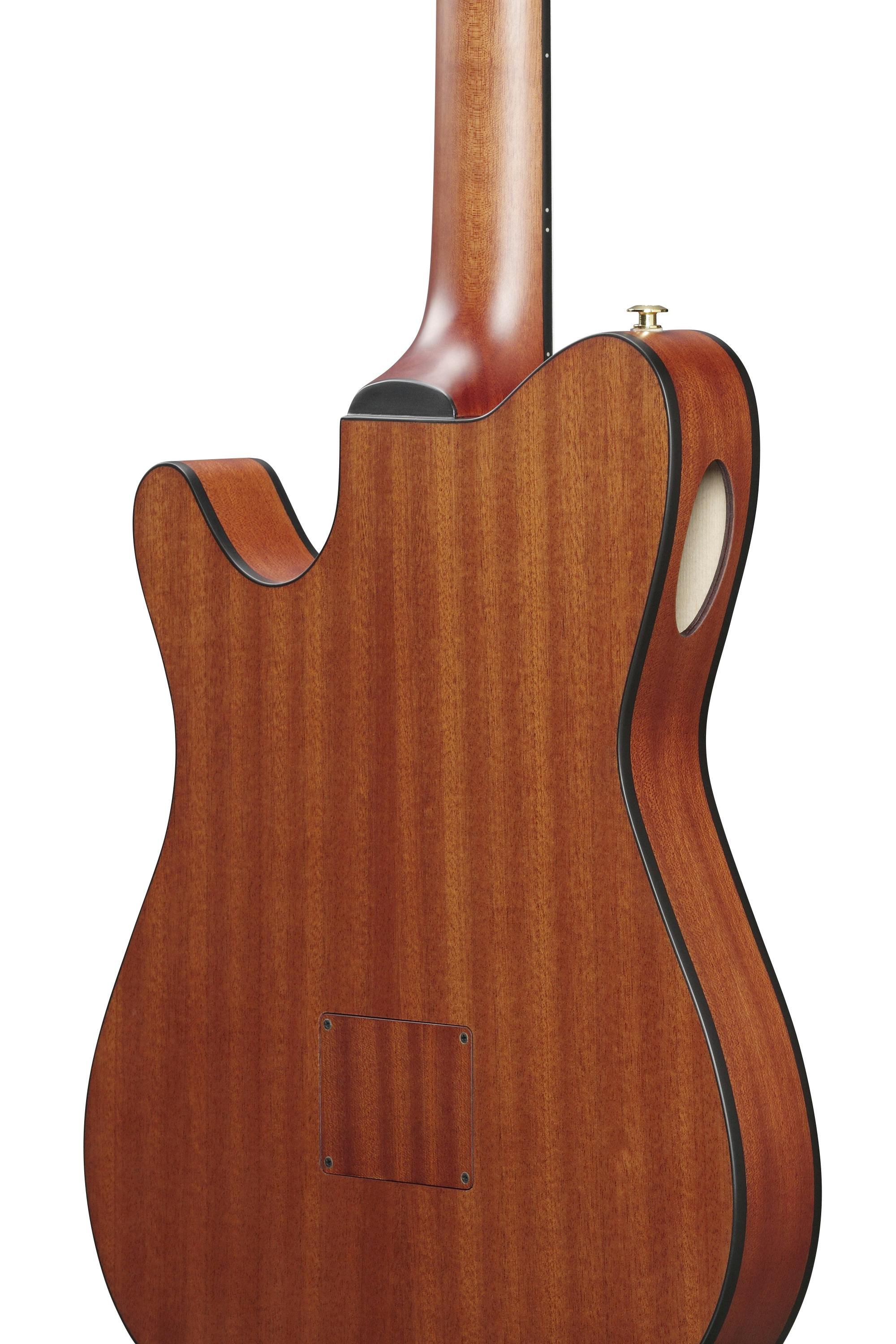 Ibanez FRH10N-IBF Electro Acoustic in Rose Gold Metallic Flat - FRH10N-RGF-FRH10N_RGF_5B_01_I.jpg