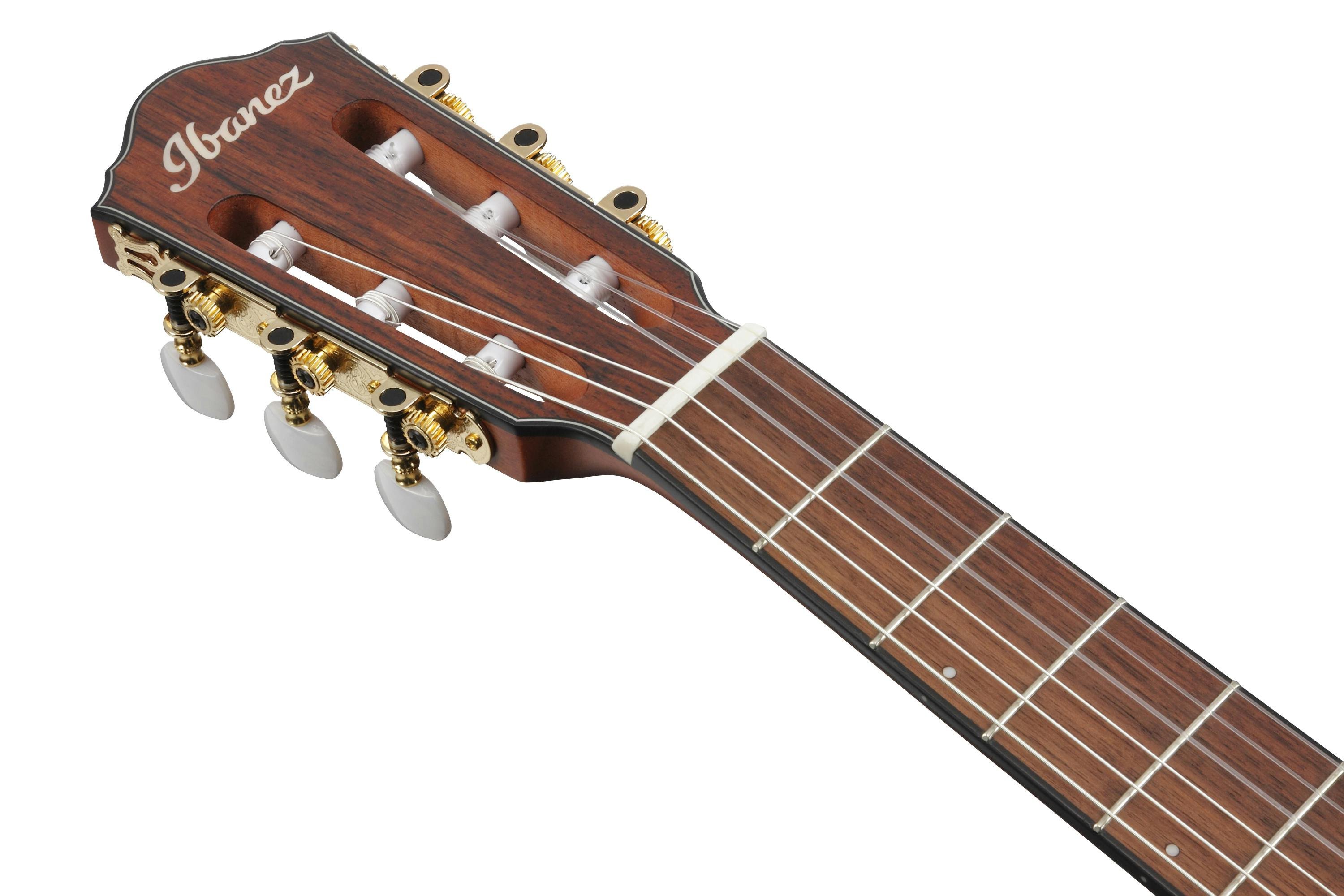 Ibanez FRH10N-IBF Electro-Acoustic in Rose Gold Metallic Flat
