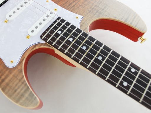 FGN Expert Odyssey EOS-FM-R Electric Guitar in Ripe Kaki Gradation