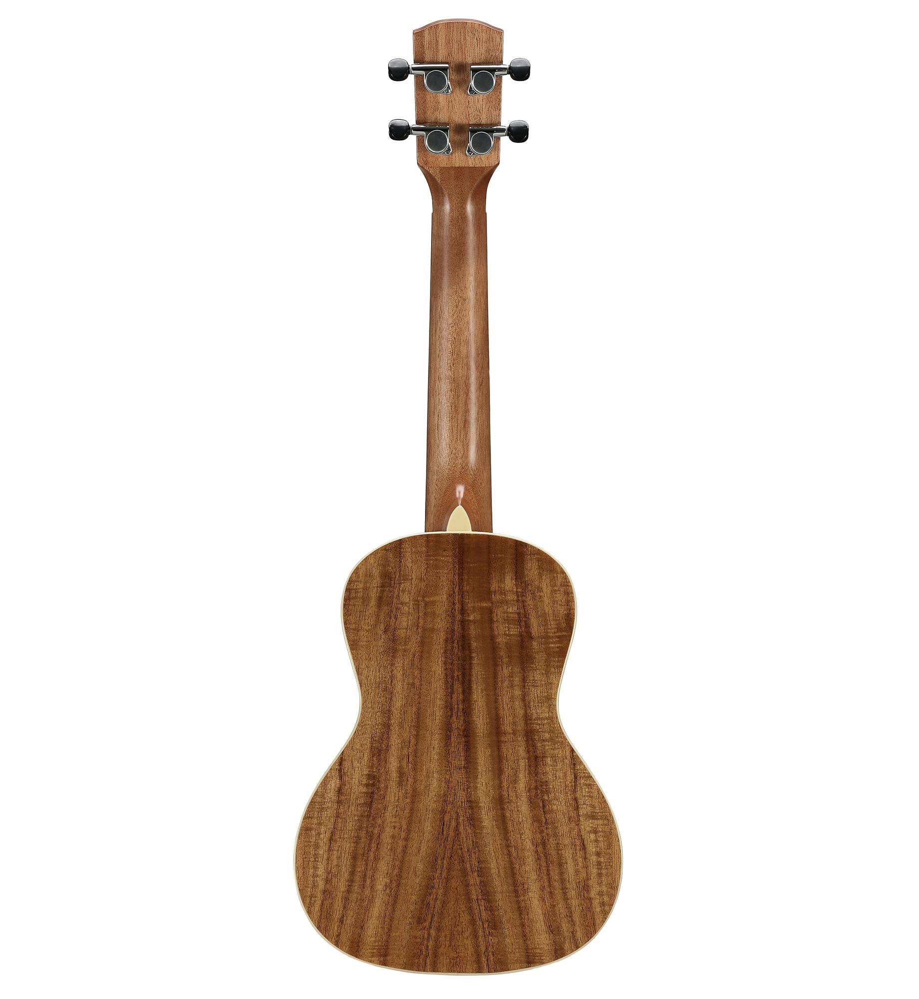 Alvarez Artist AU90C Concert Ukulele in Natural - 294177-AU90C-Back.jpg