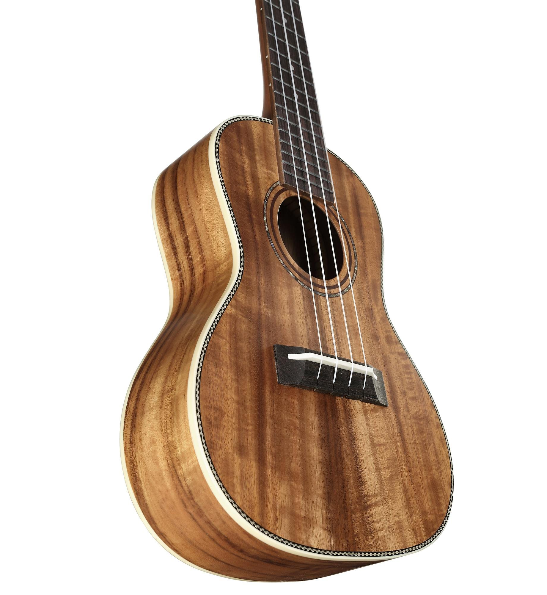 Alvarez Artist AU90C Concert Ukulele in Natural - 294178-AU90C-Bup.jpg