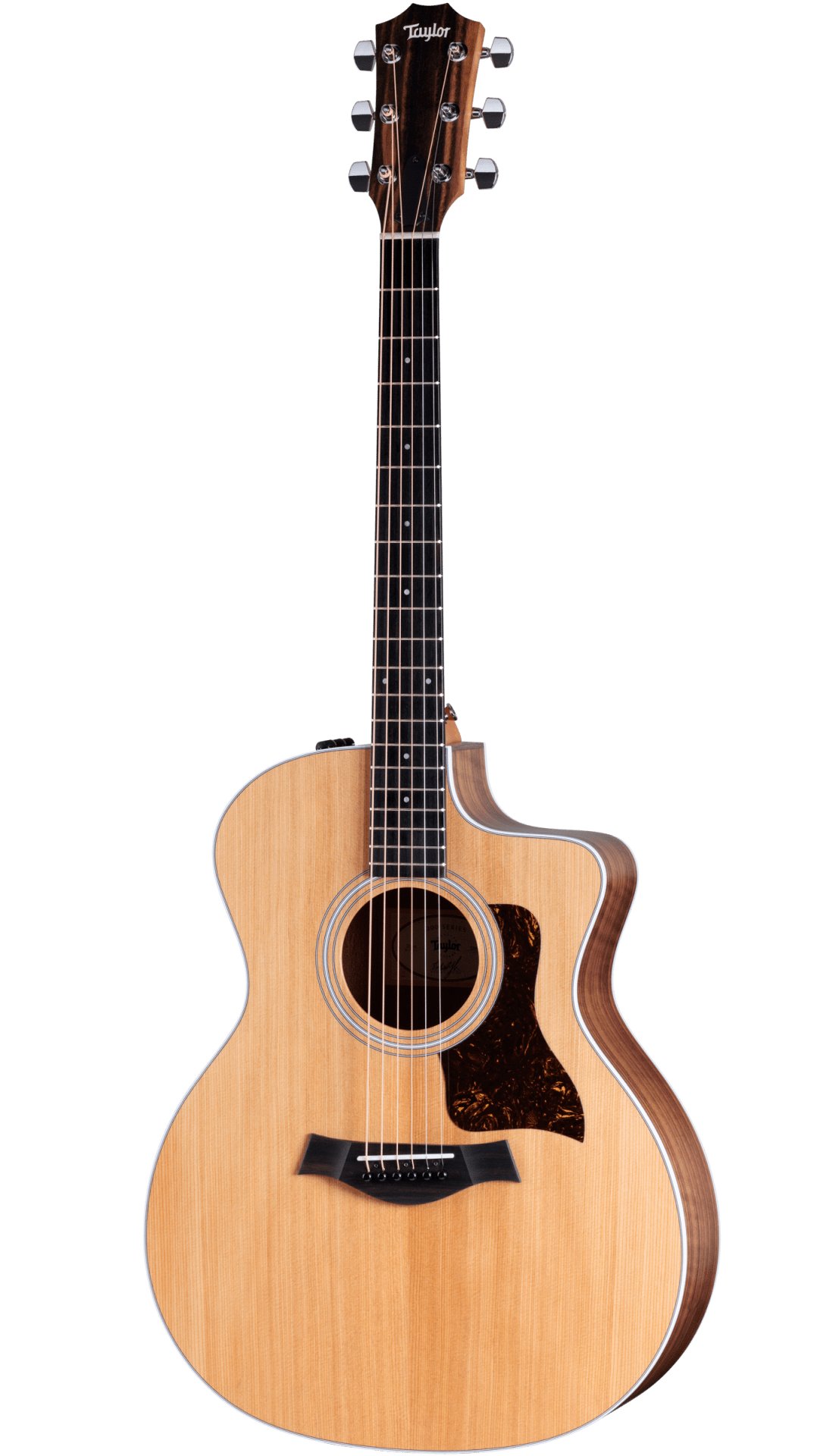 Taylor 214ce Electro-Acoustic in Natural - F204002111007961000-Taylor-214ce-2209073120-FrontLeft-2023.jpg