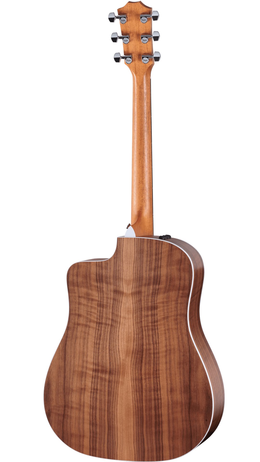 Taylor 210ce Walnut Electro Acoustic in Natural  - F204000111007961000-Taylor-210ce-2209013076-BackLeft-2023.jpg