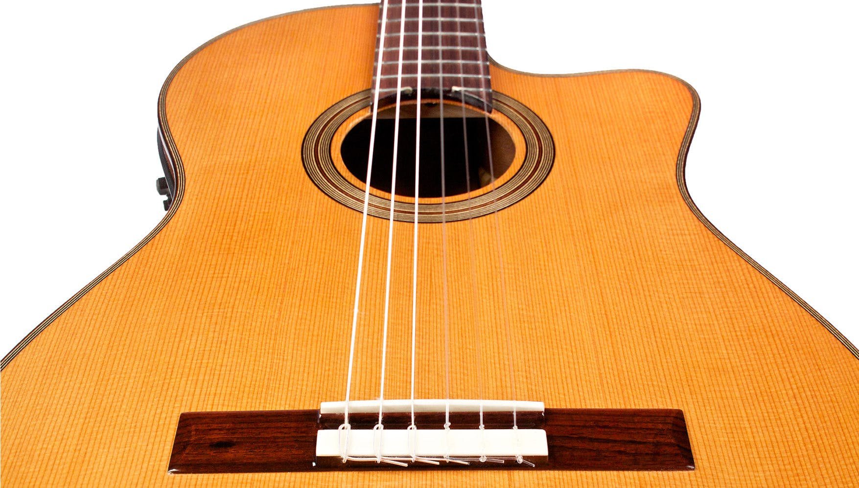 Cordoba Fusion 12 Natural Solid Cedar Electro Acoustic - 434445-12-Natural-CD_Highlight_detail2-1755x998.jpg
