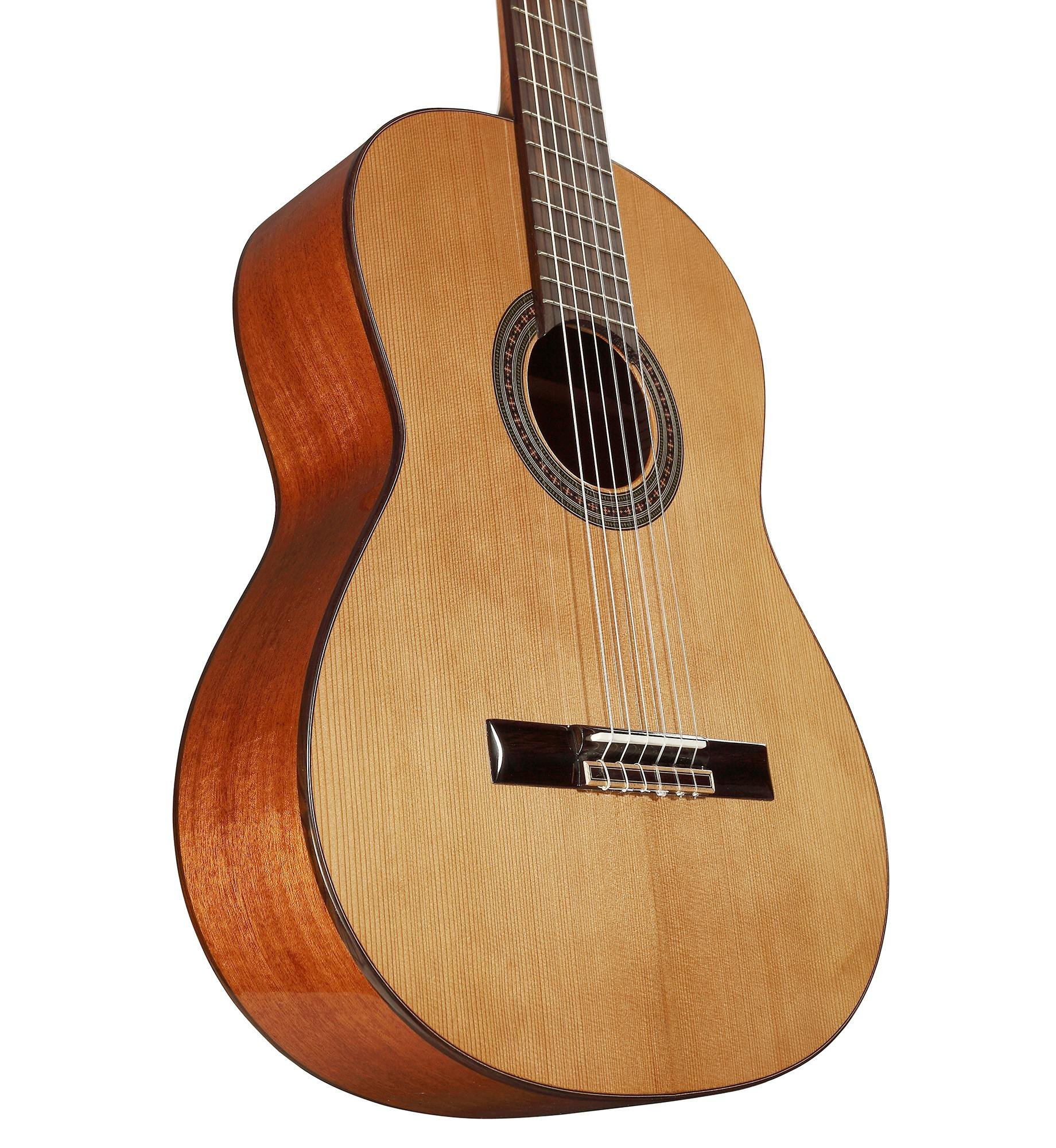 Alvarez Artist AC65 Classical Guitar in Natural - 294128-AC65-Bup.jpg