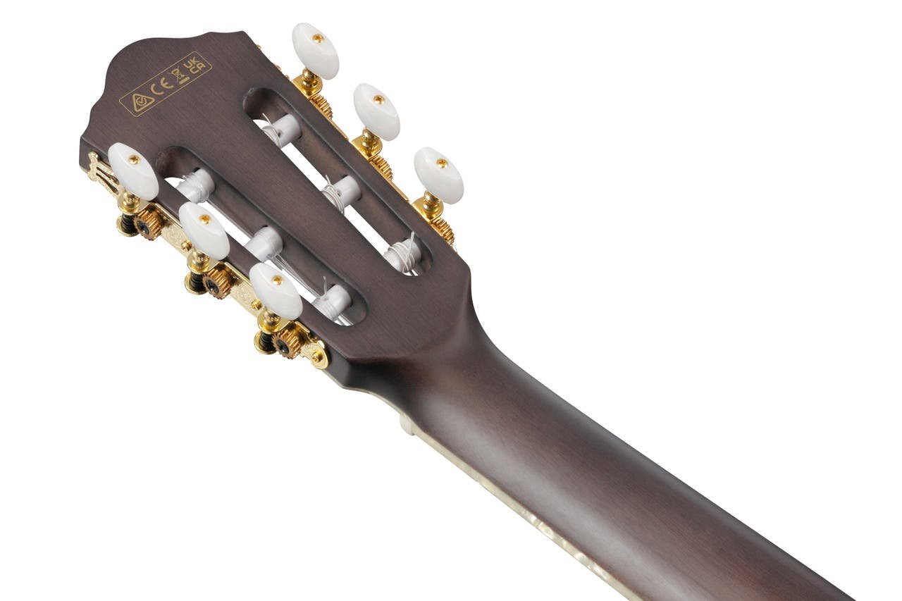 Ibanez TOD10N Tim Henson Signature "Tree of Death" Nylon-String Electro Acoustic Guitar in Transparent Black Flat - TOD10N-TKF-Ibanez-TOD10N-Tim-Henson-Tree-of-Death-Headstock-Back.jpg