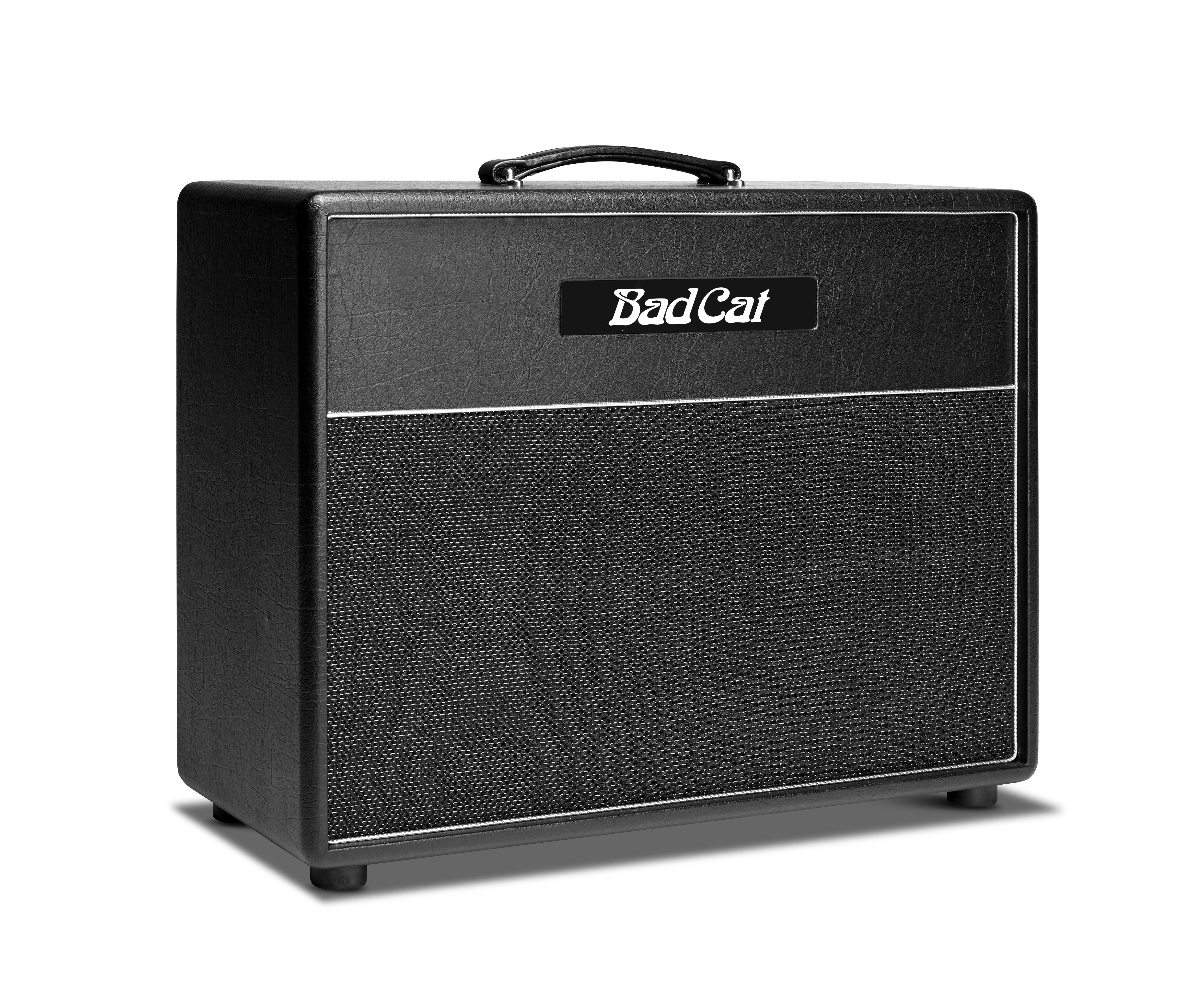 Bad Cat Hot Cat 1x12 Extension Cabinet - Andertons Music Co.