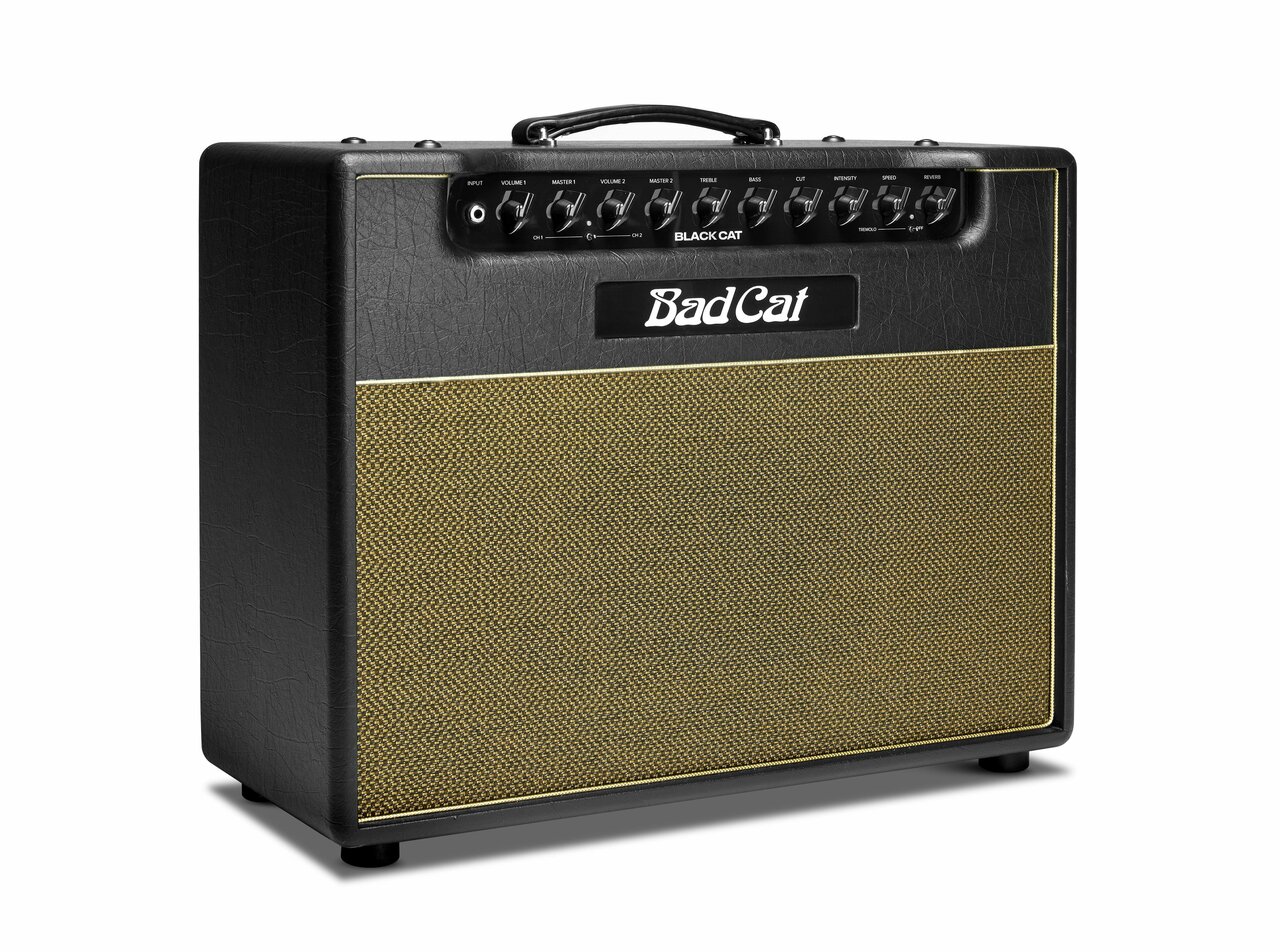 Bad Cat Black Cat 1x12 20W Valve Amp Combo - Andertons Music Co.