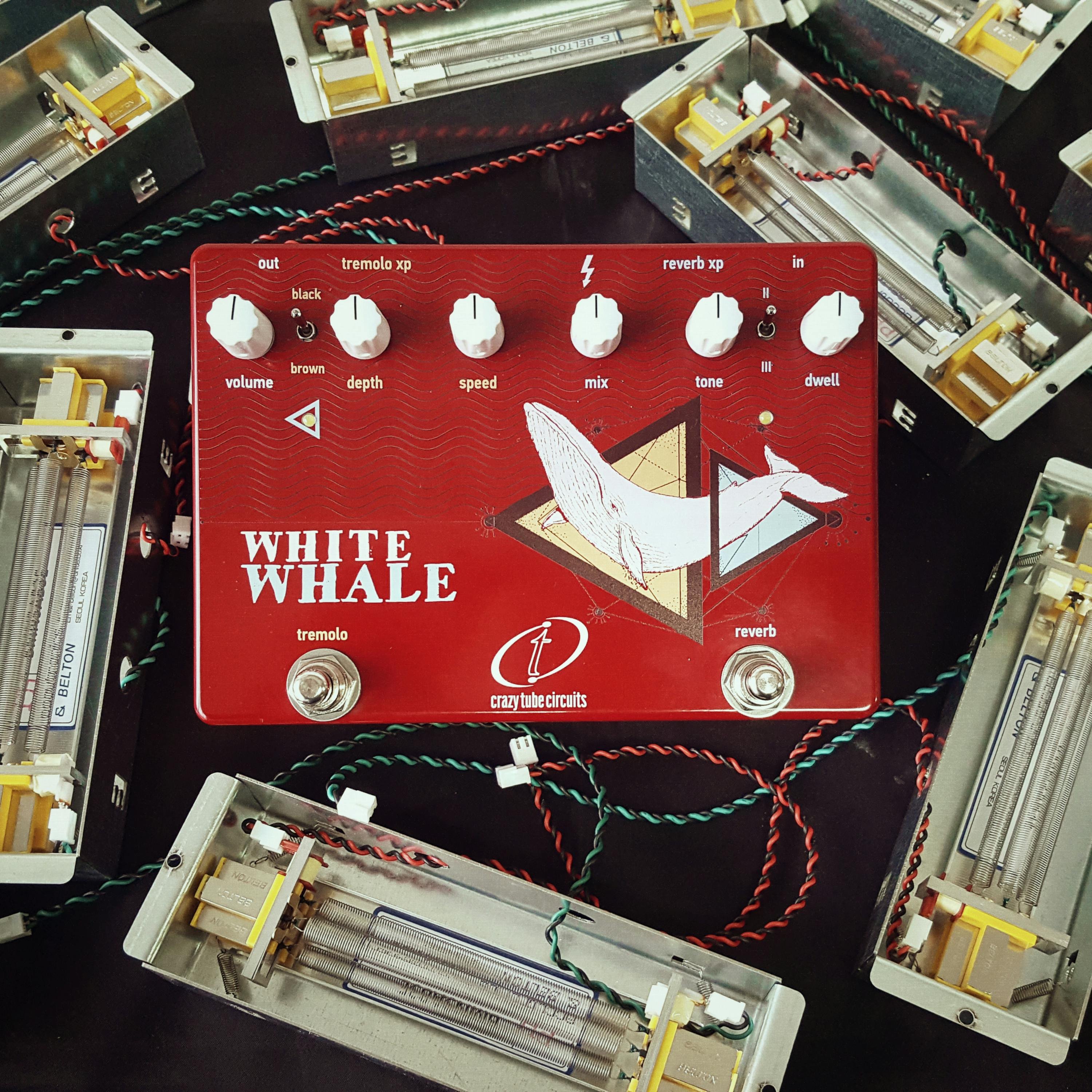 Crazy Tube Circuits White Whale Analogue Spring Reverb & Tremolo