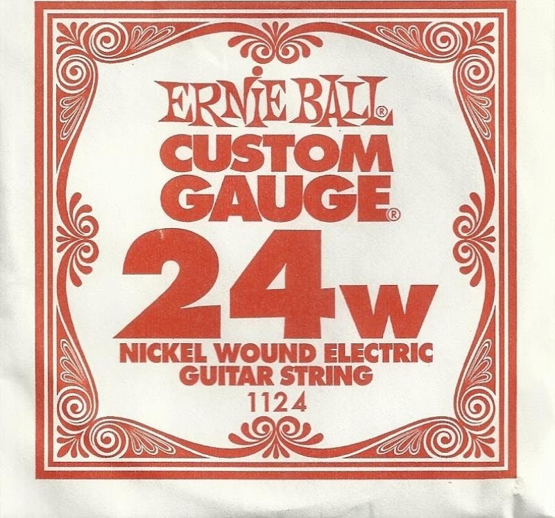 Ernie Ball Single Wound String 24W - 96924-tmp2B1.jpg