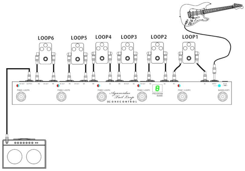 One Control Agamidae Tail Loop - 518261-One-Control-Agamidae-Tail-Loop-Diagram.jpg