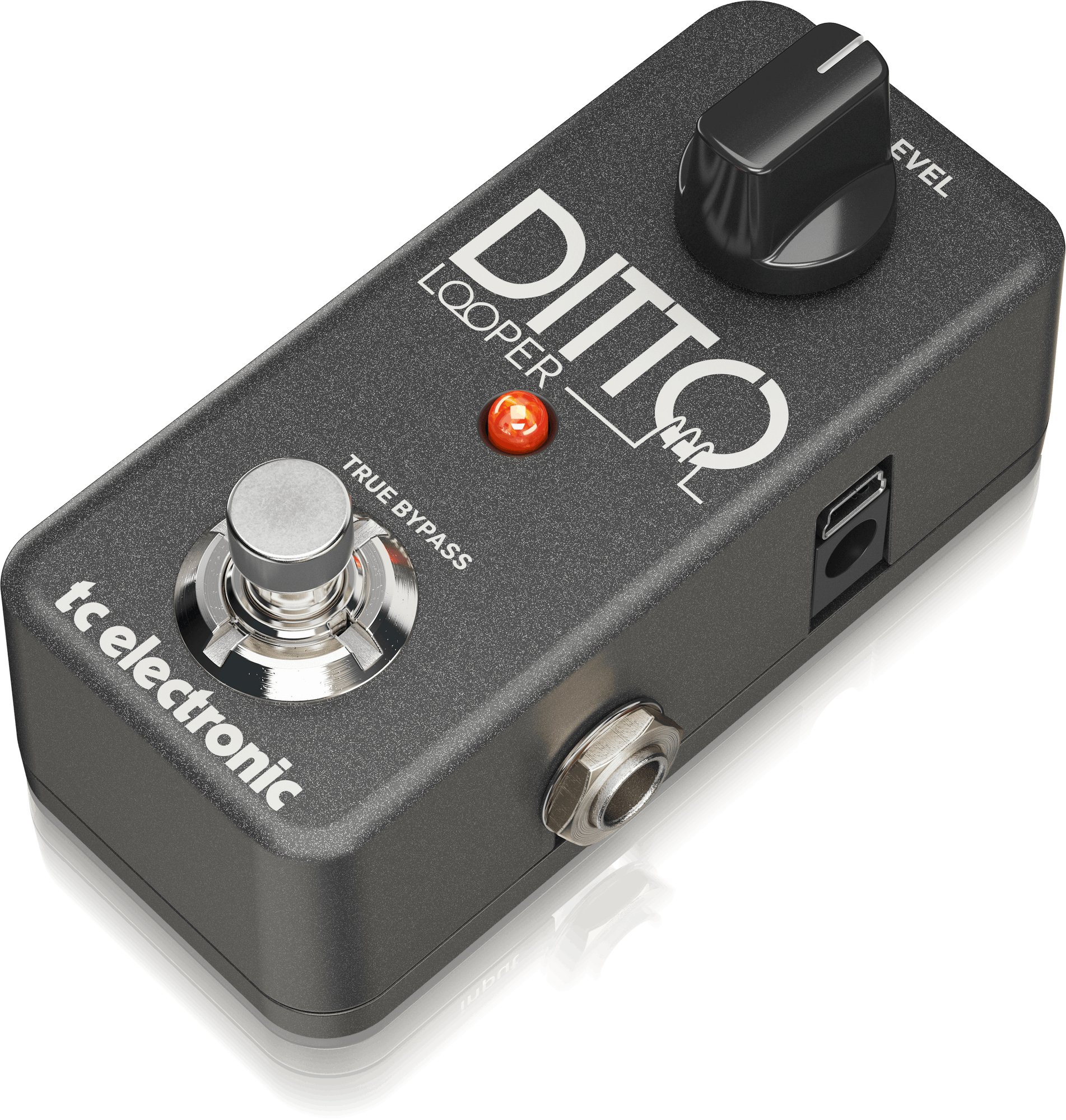- Ditto+ Electronic TC Looper LOOPER DITTO electronic 【超美品】tc Test 2026 Review & ギター