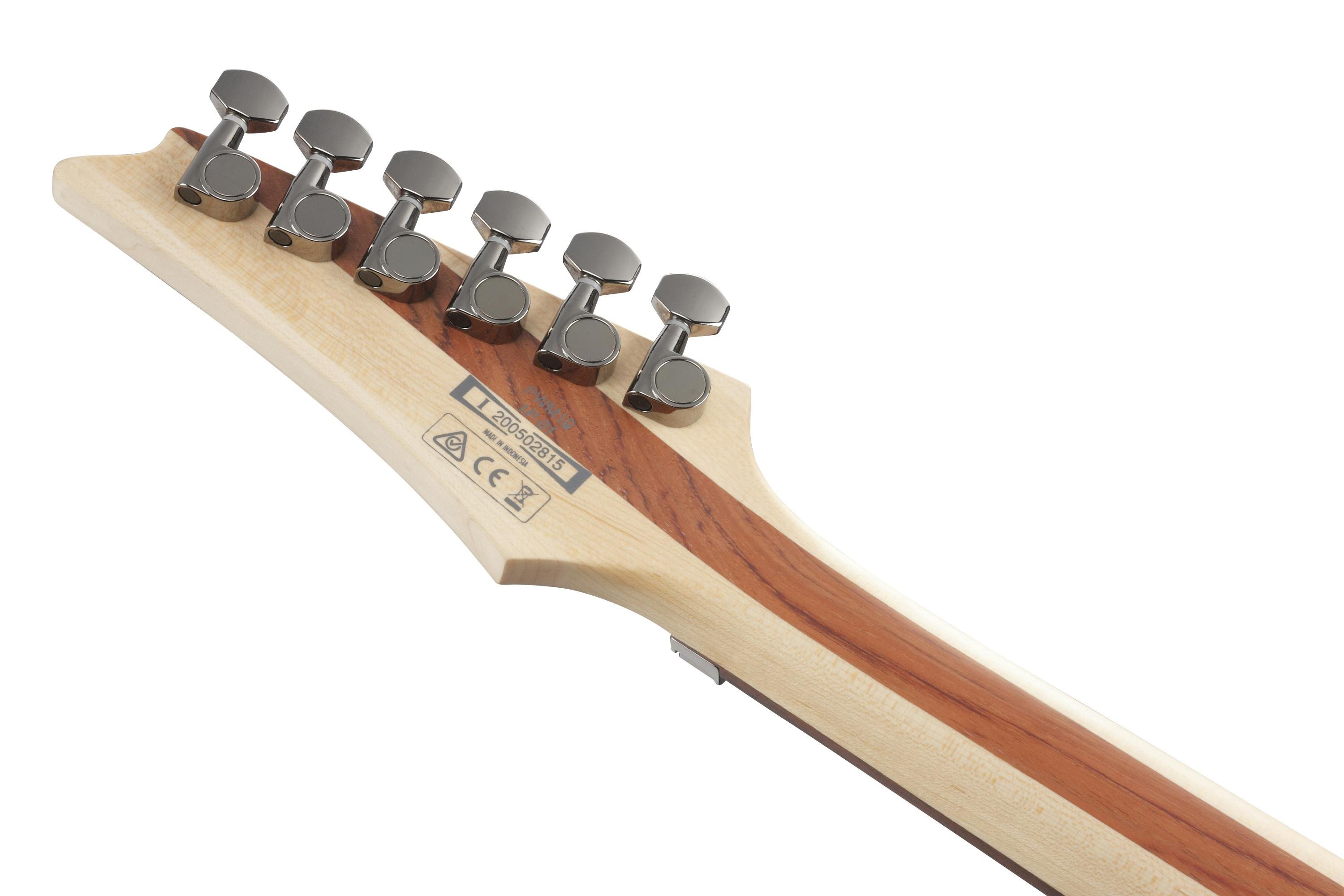 Ibanez PWM20 Paul Waggoner Signature Electric Guitar in White Ash - 424137-PWM20_1P_01_K.jpg