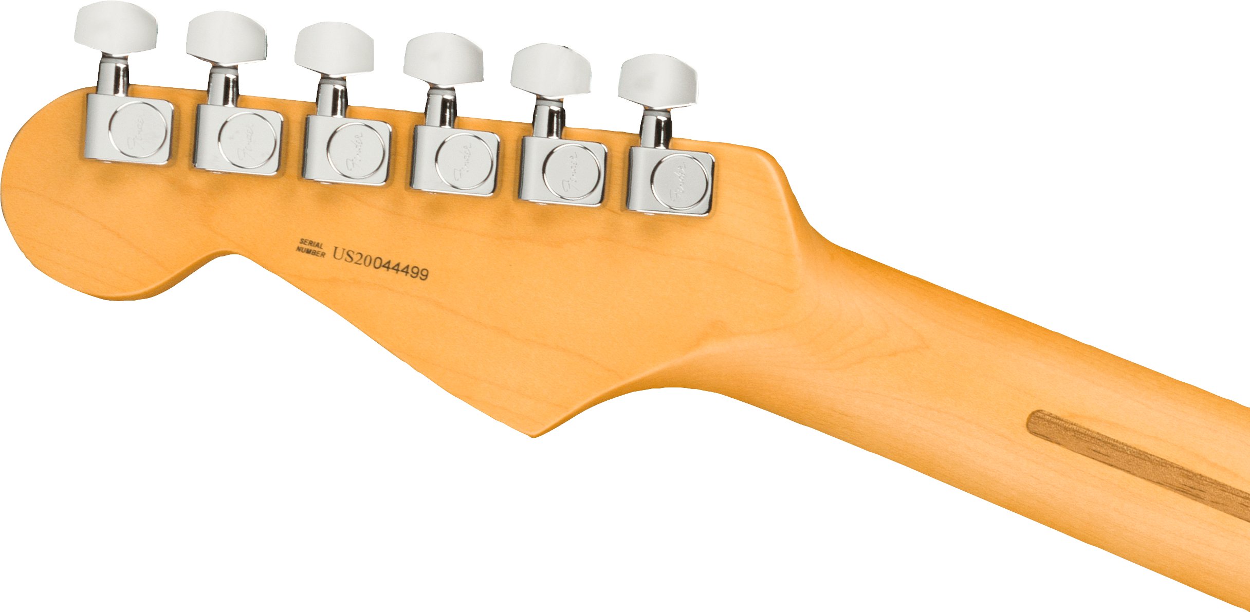 Fender American Professional II Stratocaster HSS in Dark Night