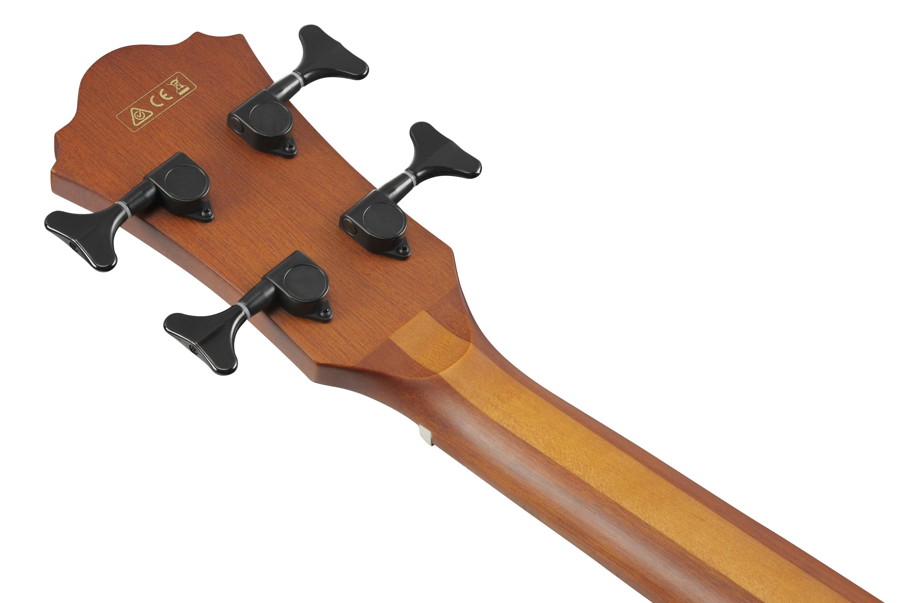 Ibanez AEGB24E-MHS Electro Acoustic Bass 【 J 】8007 Ibanez