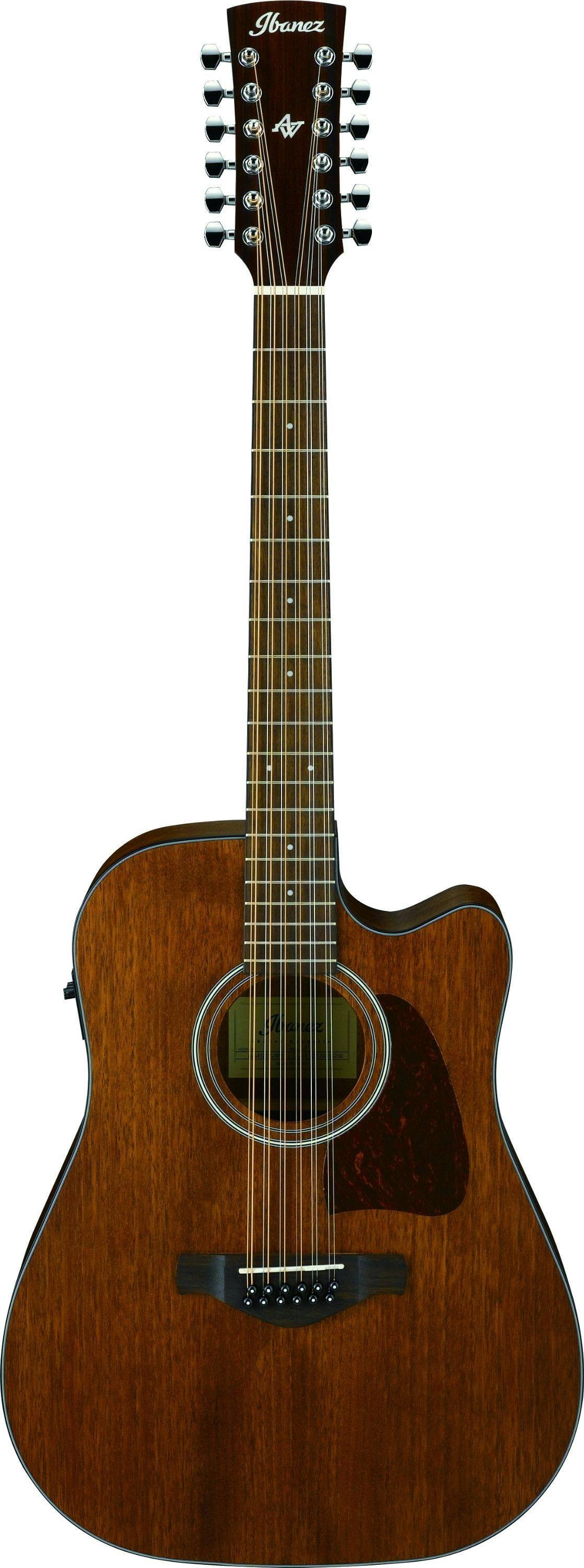 Ibanez Artwood AW5412CE 12 String Electro Acoustic 2018 - 256958-AW5412CE_OPN_1X_01 - Copy.jpg