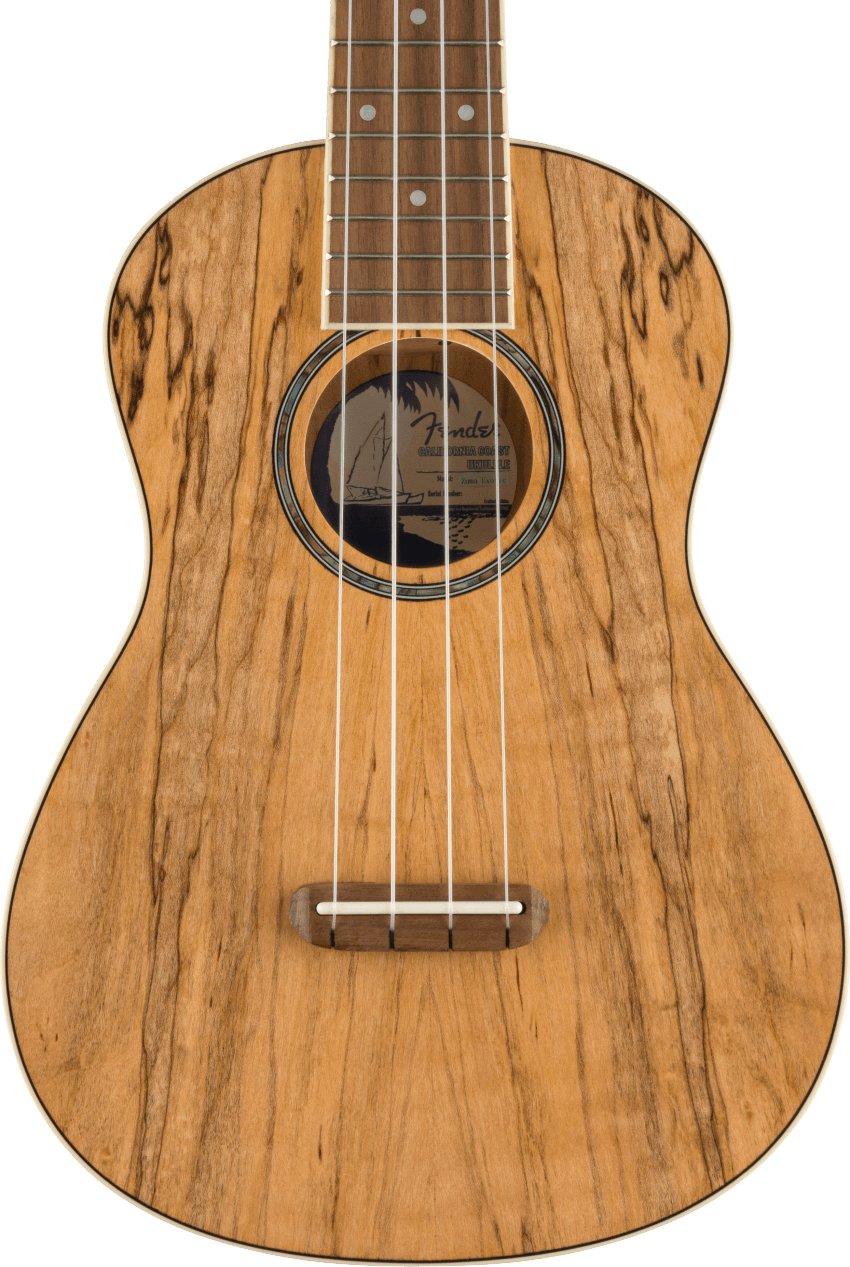 Fender Zuma Exotic Concert Ukulele in Spalted Maple - 517895-0970450594_fen_ins_frt_1_rr2.jpg