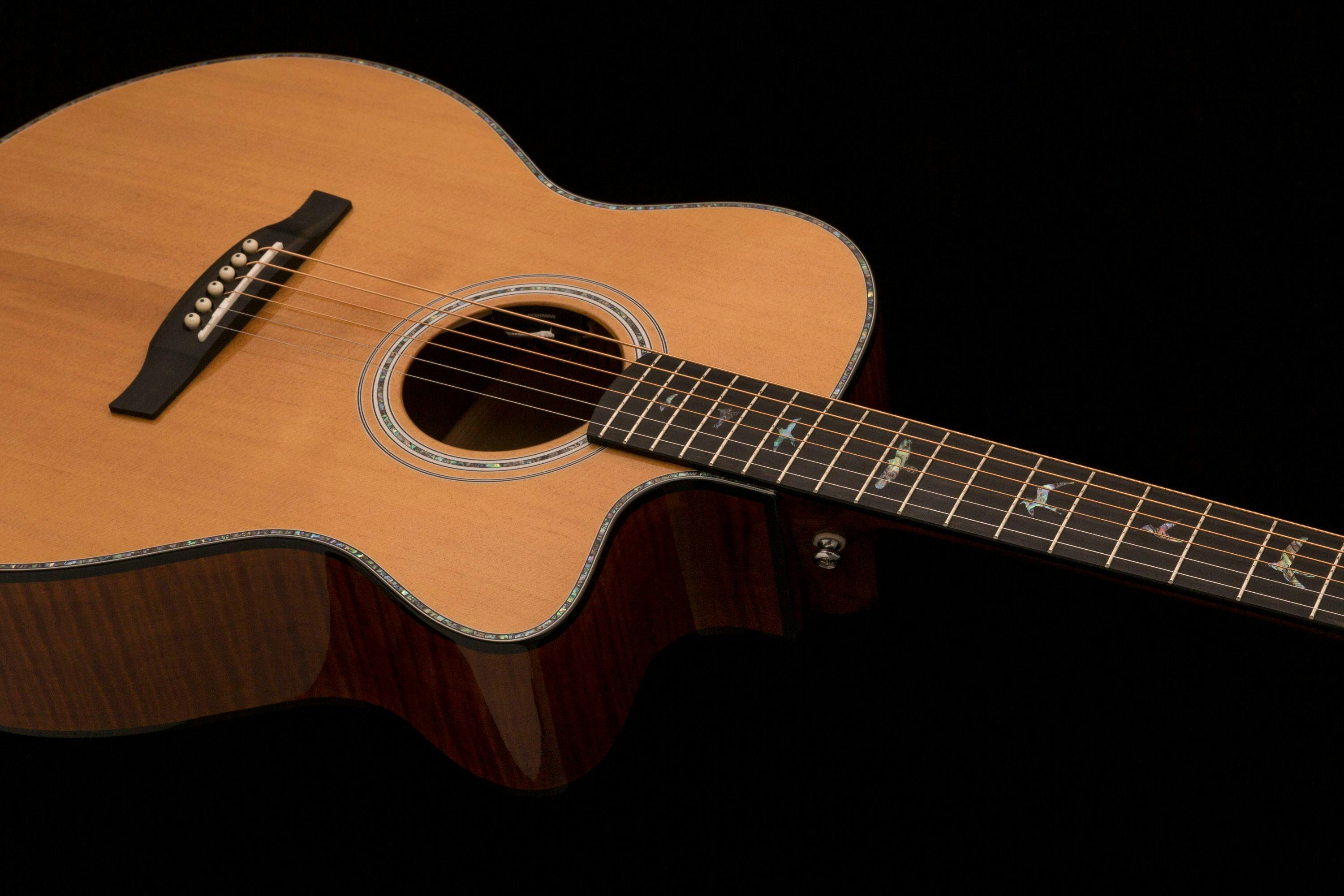 PRS SE Angelus A50E Cutaway Electro Acoustic Guitar in Natural & Black Gold - 257747-SE A50E_a.jpg