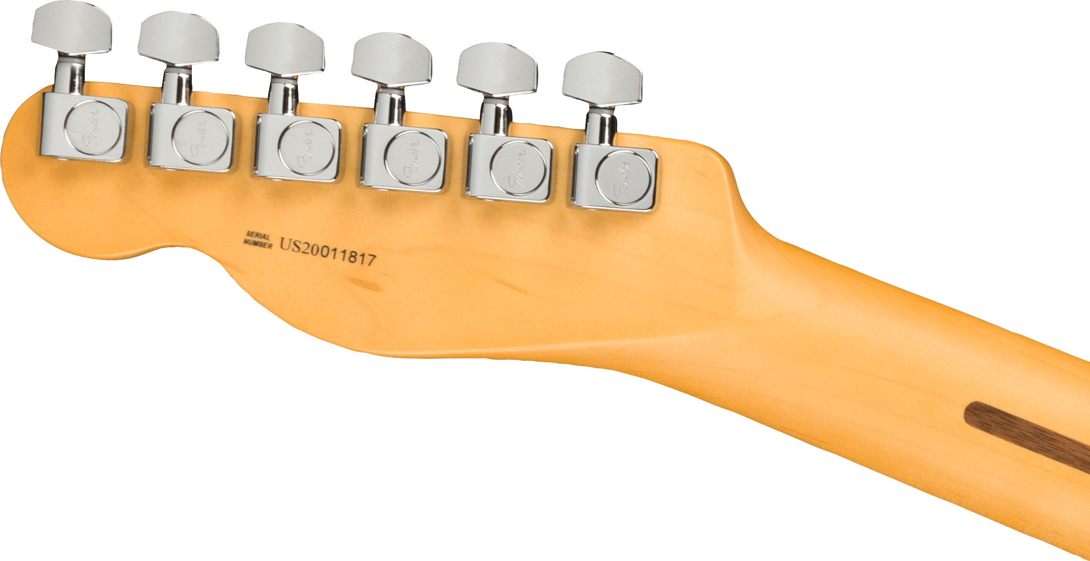 Fender American Professional II Telecaster in Roasted Pine