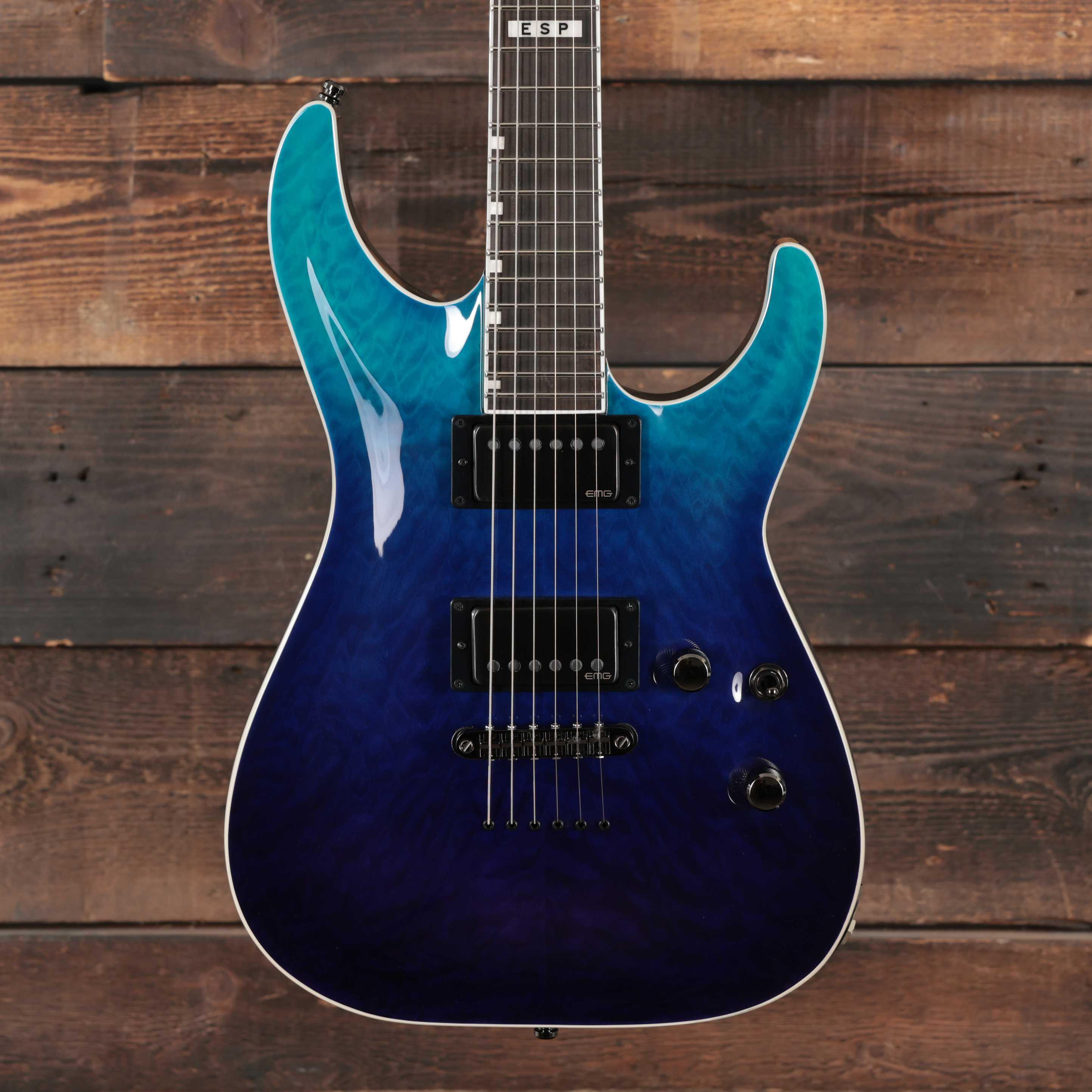ESP E-II Horizon NT-II in Blue-Purple Gradation - ES7634253 (3).jpg