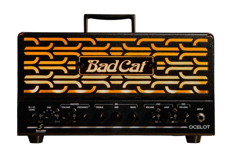 Bad Cat Ocelot 25w 2-Channel Amp Head with EL84 Valves - Ocelot-Studio_compressed.jpg