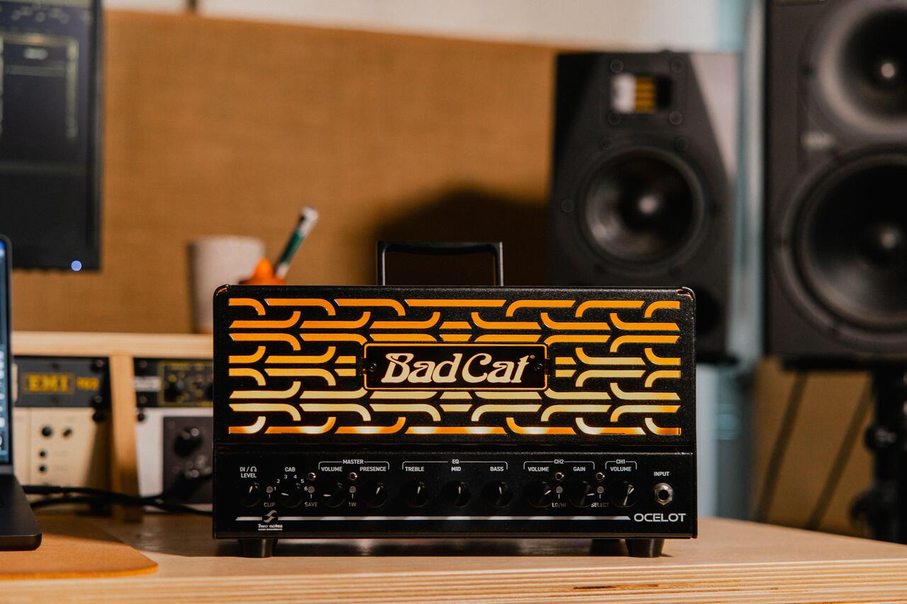 Bad Cat Ocelot 25w 2-Channel Amp Head with EL84 Valves - Ocelot-Studio-5346_compressed.jpg