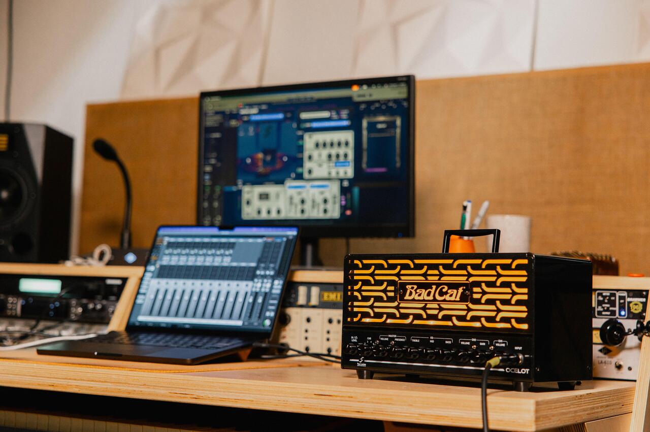 Bad Cat Ocelot 25w 2-Channel Amp Head with EL84 Valves - Ocelot-Studio-5287_compressed.jpg