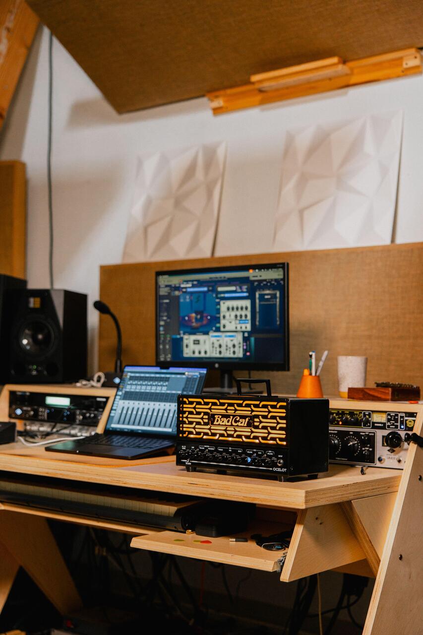 Bad Cat Ocelot 25w 2-Channel Amp Head with EL84 Valves - Ocelot-Studio-5441_compressed.jpg