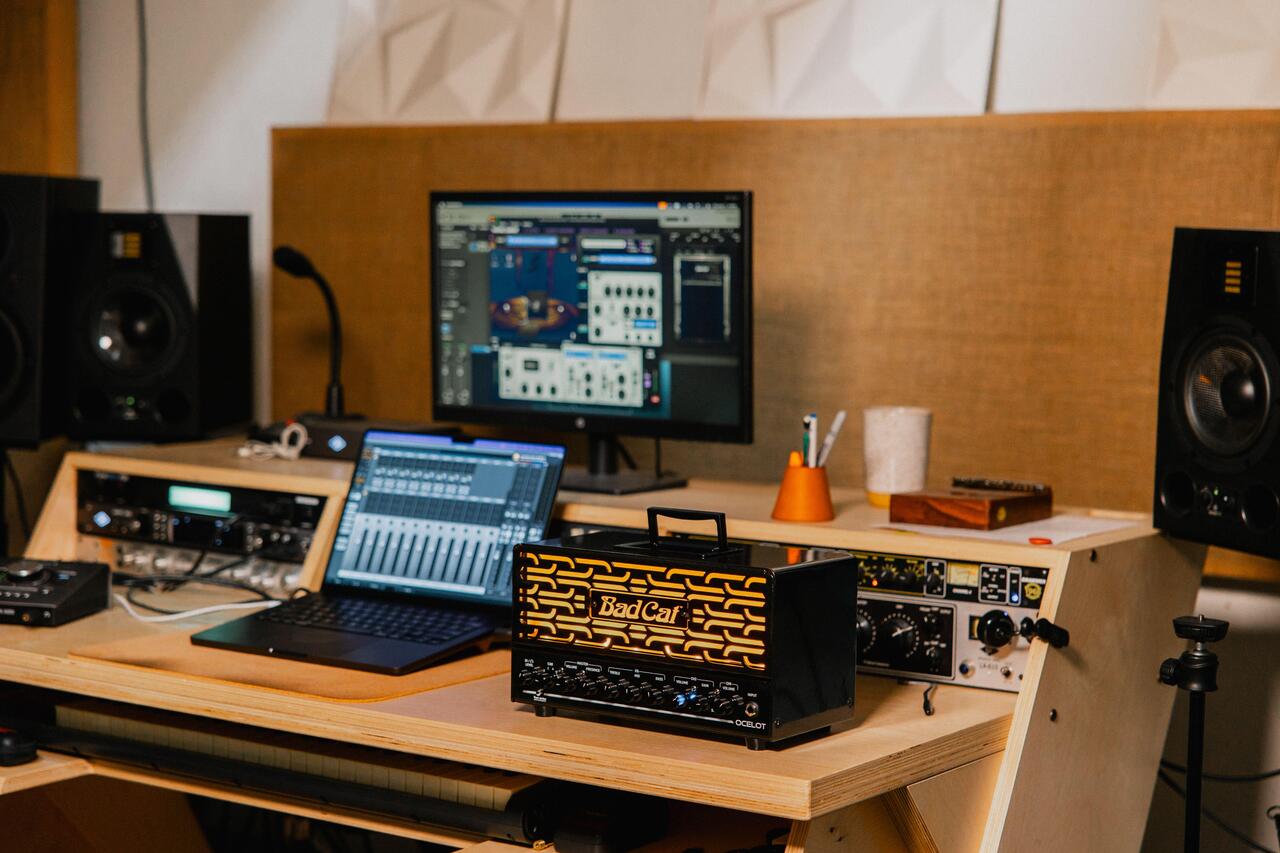 Bad Cat Ocelot 25w 2-Channel Amp Head with EL84 Valves - Ocelot-Studio-5421_compressed.jpg