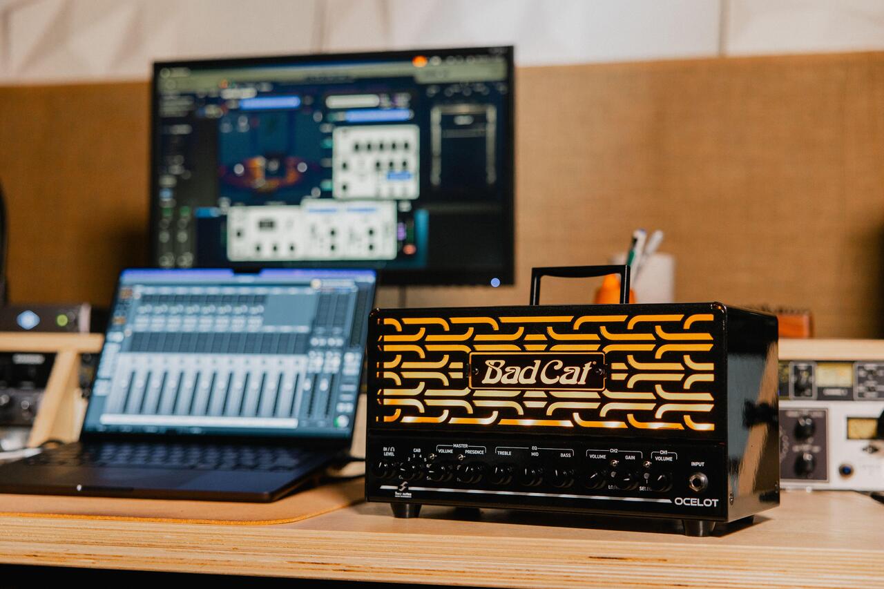 Bad Cat Ocelot 25w 2-Channel Amp Head with EL84 Valves - Ocelot-Studio-5329_compressed.jpg