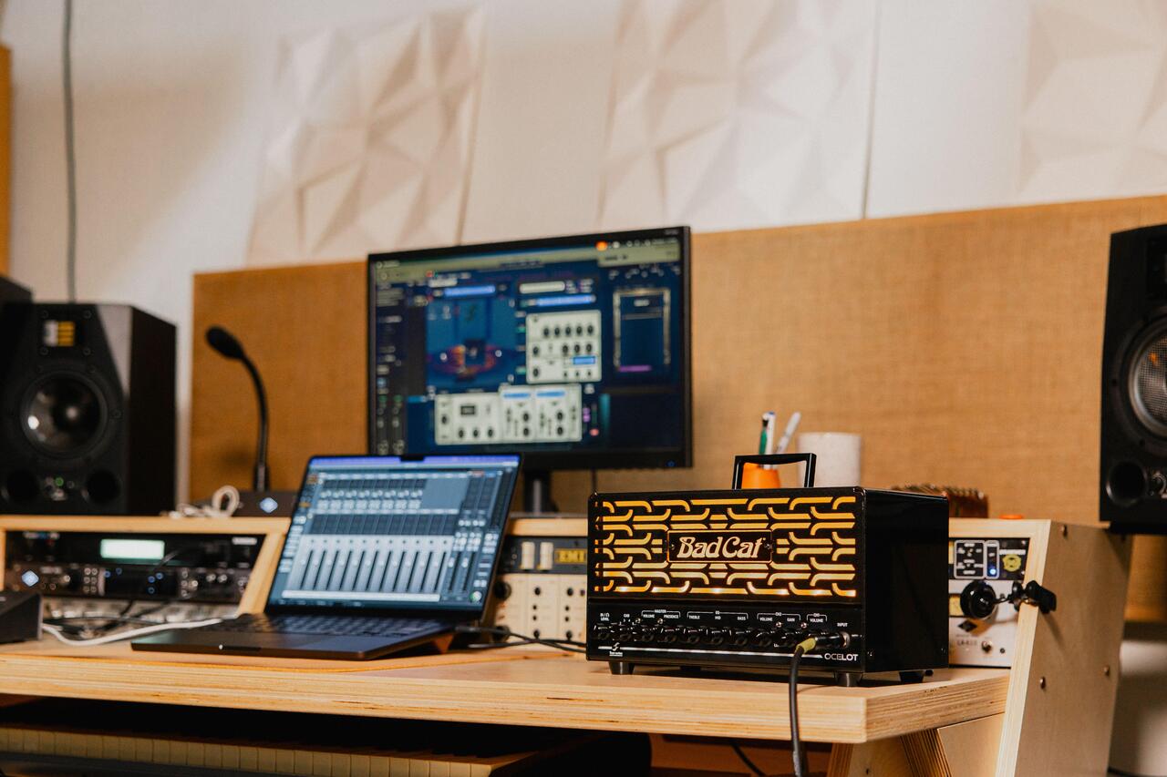 Bad Cat Ocelot 25w 2-Channel Amp Head with EL84 Valves - Ocelot-Studio-5291_compressed.jpg