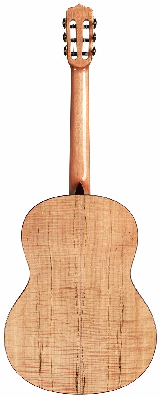 Cordoba Stage C5 Crossover Guitar Nylon String in Edge Burst - COR-C5-CROSSOVER-LTD-Cordoba-Stage-Crossover-Guitar-Nylon-String-in-Edge-Burst-Back.jpg