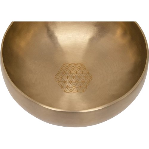 Meinl Sonic Energy Synthesis Series Singing Bowl Flower of Life: 1000g 7.6 inch Diameter - SB-S-FOL-1000_web_detail_01.jpg