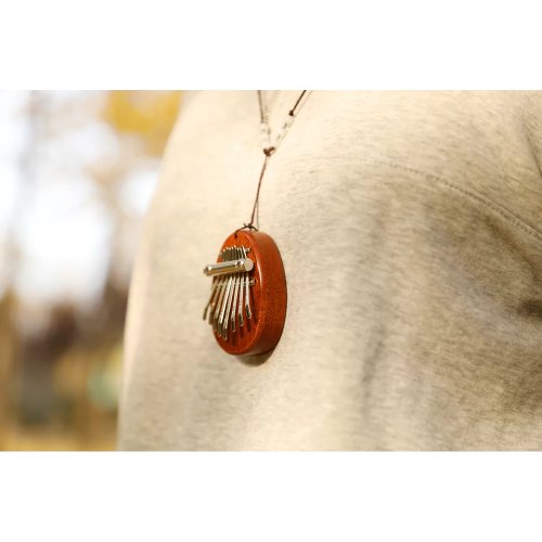 Meinl Sonic Energy Mini Kalimba C Major 8-Notes Sapele - KL8MINI_web_lifestyle_07.jpg