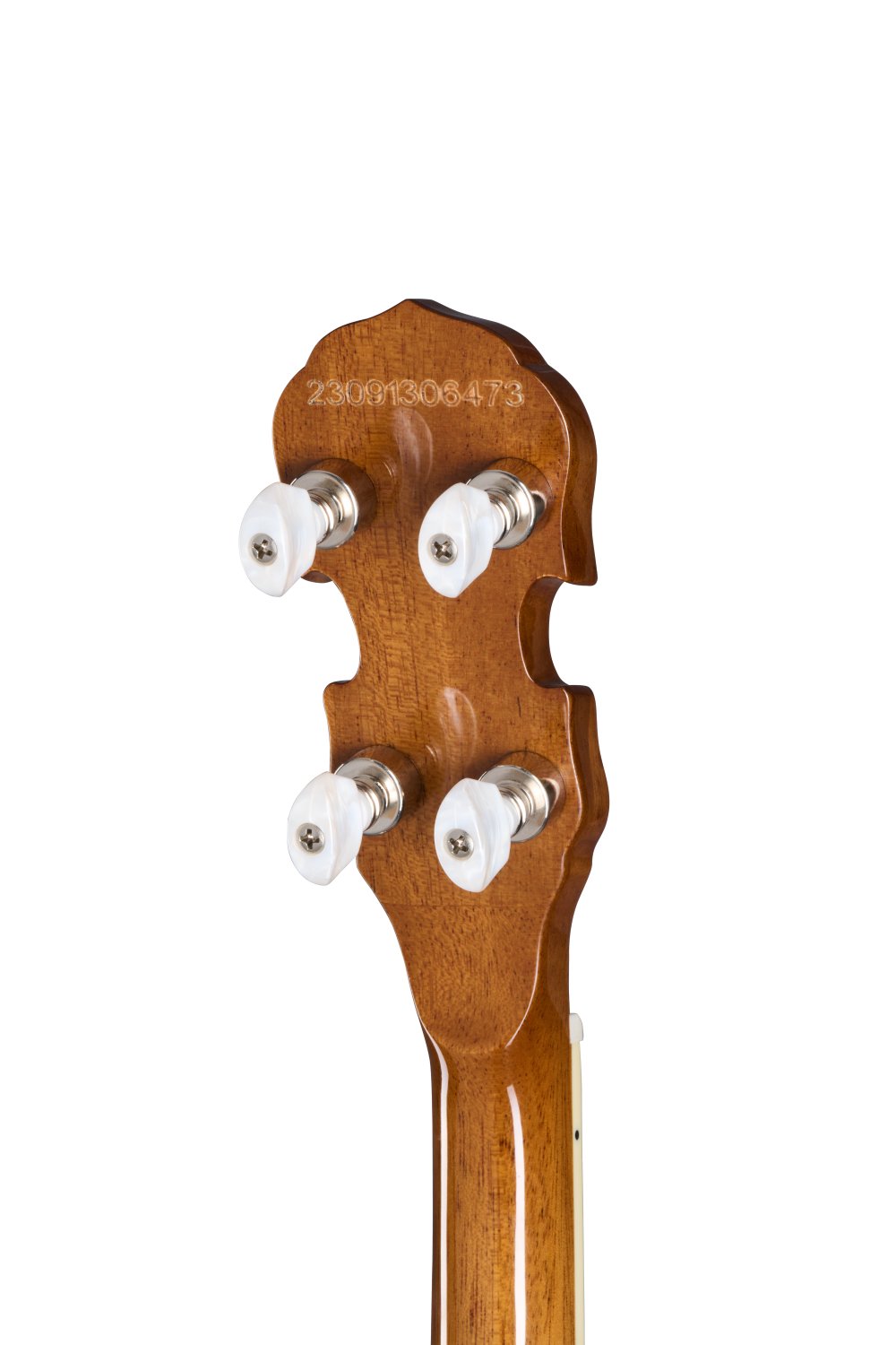 Epiphone Mastertone Classic Banjo - EIGBMCNANH1_hs_back.jpg